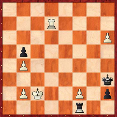 Что надо знать о бананах » Вестник К. Банановые факты 06