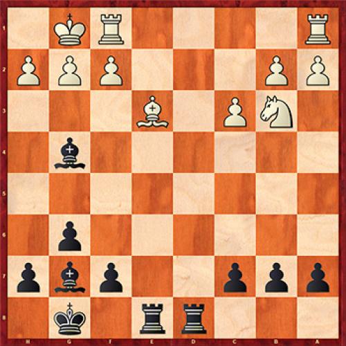 Что надо знать о бананах » Вестник К. Банановые факты 04