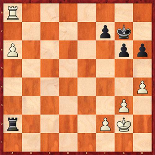 Что надо знать о бананах » Вестник К. Банановые факты 03