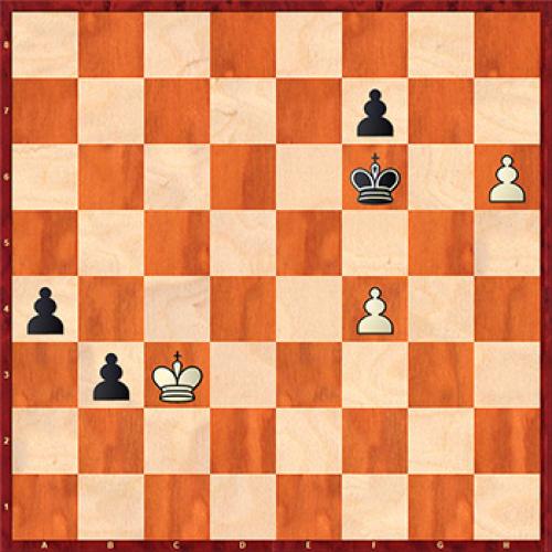 Что надо знать о бананах » Вестник К. Банановые факты 05