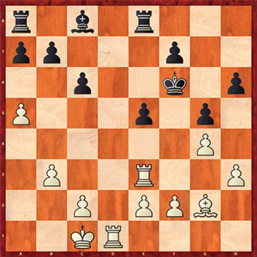 Что надо знать о бананах » Вестник К. Банановые факты 02