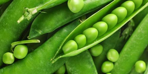 Факты о бананах удивительные и странные. 10 малоизвестных фактов о бананах 06 Факты о бананах удивительные и странные. 10 малоизвестных фактов о бананах 06