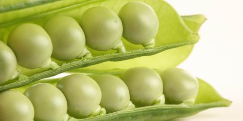 Факты о бананах удивительные и странные. 10 малоизвестных фактов о бананах 07 Факты о бананах удивительные и странные. 10 малоизвестных фактов о бананах 07