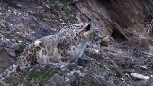 10 фактов которые вы не знали о Солнечной системе. 10 любопытных фактов о Солнечной системе