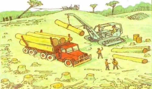 Проблема исчезновения тропических лесов рисунок. Мир глазами эколога. 4 класс Окружающий мир Рабочая тетрадь-какие ответы?