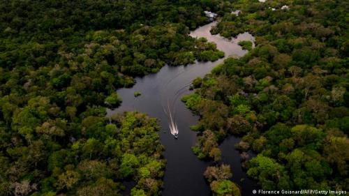 Проблема исчезновения тропических. Уничтожение лесов на планете и его последствия