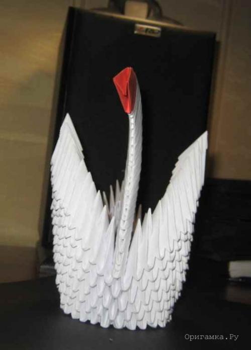 Как белый лебедь из модулей отличается от традиционного строительства. Как сделать модуль из бумаги