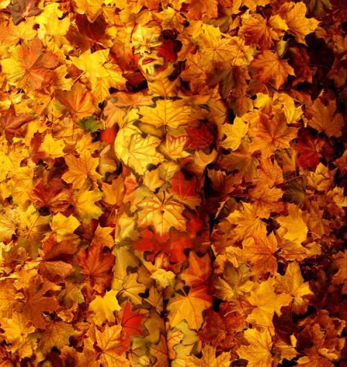 Exploring the World of Art Body Nu: A New Frontier in Body Art 06 Exploring the World of Art Body Nu: A New Frontier in Body Art 06