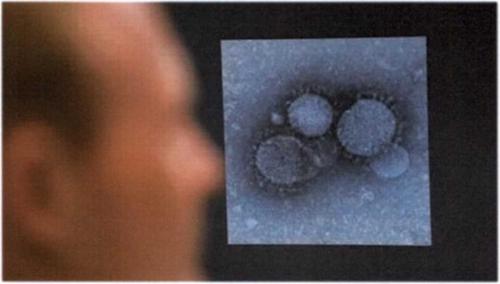 Как россиянам защитить себя и близких от коронавируса? ПЯТЬ ПРАВИЛ ЗАЩИТЫ ОТ КОРОНАВИРУСА И ОРВИ 03