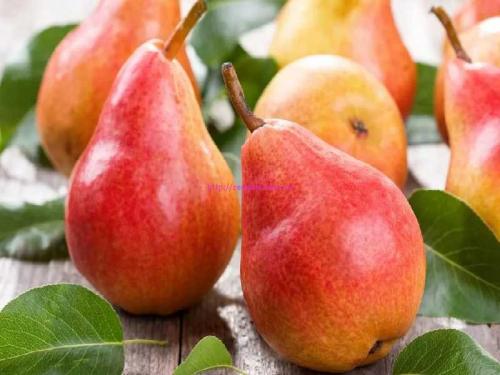 Интересные факты о груше. История груши