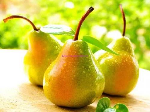 Интересные факты о груше. История груши
