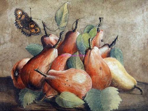 Интересные факты о груше. История груши