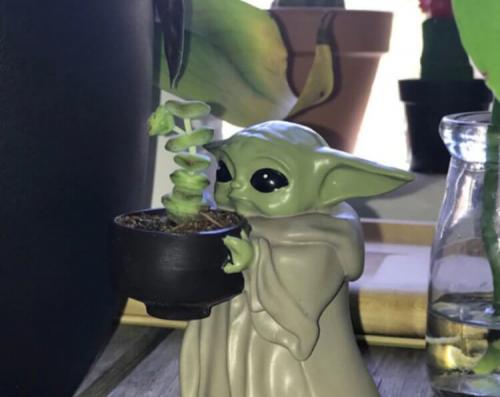 Какие креативные вещи и крутые гаджеты можно использовать для организации досуга. Гаджеты для дома, с которыми не будет скучно