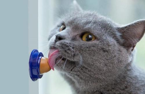 Какие креативные вещи и крутые гаджеты можно использовать для организации досуга. Гаджеты для дома, с которыми не будет скучно