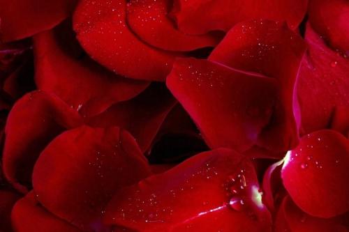 Как можно разнообразить отношения с мужем, используя разные позы для постели. Топ-54 варианта внесения разнообразия в интимную жизнь с партнером