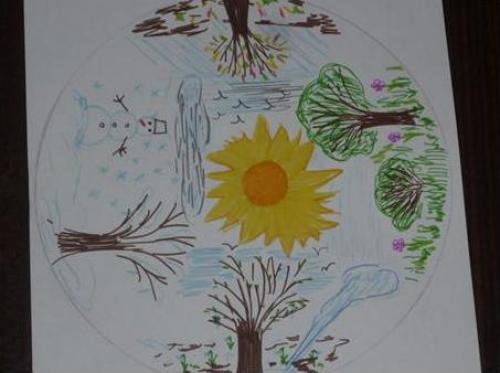 Красного цвета птица. Происхождение вида и описание 19