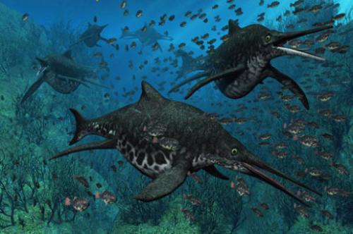 Морской динозавр название. Морские динозавры — Потрясающее зрелище