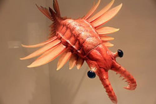 Доисторические рыбы в наше время. Вымершие обитатели океана,о которых вы не знали.