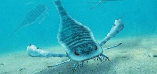 Доисторические рыбы в наше время. Вымершие обитатели океана,о которых вы не знали.