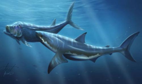 Морской динозавр название. Морские динозавры — Потрясающее зрелище