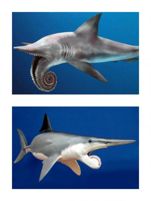 Доисторические рыбы в наше время. Вымершие обитатели океана,о которых вы не знали.