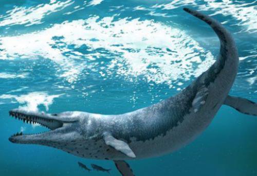 Морской динозавр название. Морские динозавры — Потрясающее зрелище