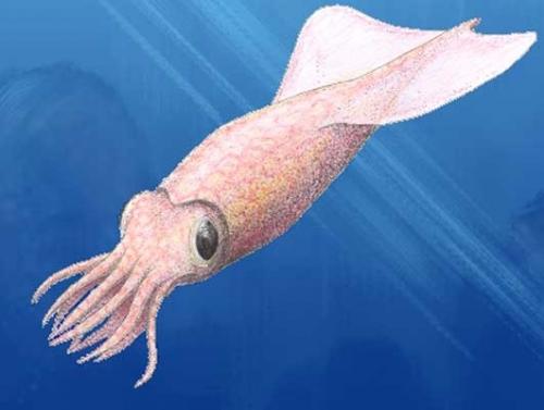 Доисторические рыбы в наше время. Вымершие обитатели океана,о которых вы не знали.