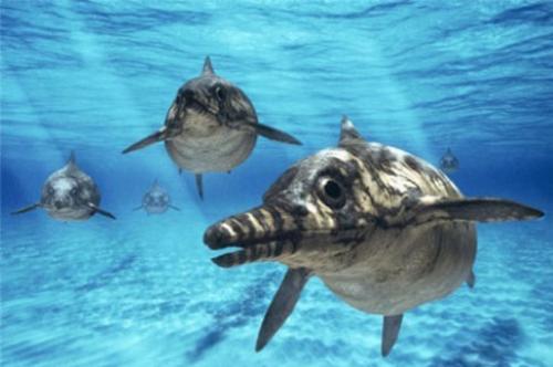 Морской динозавр название. Морские динозавры — Потрясающее зрелище