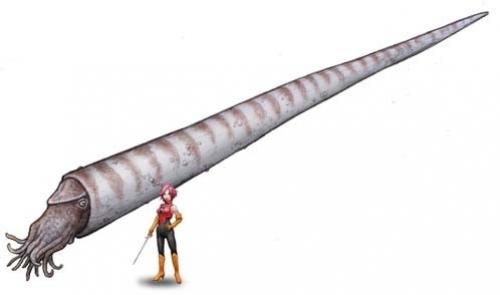 Доисторические рыбы в наше время. Вымершие обитатели океана,о которых вы не знали.