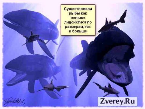 Рыба динозавр название. Ихтиозавры 05