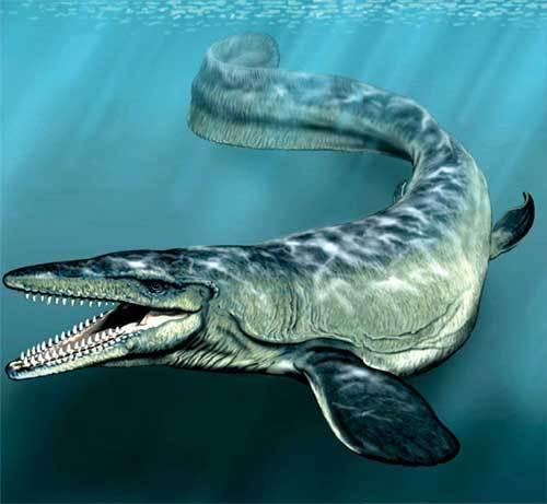 Самый большой морской динозавр. Самые большие древние хищники океана океана. ДЛИННОПОСТ