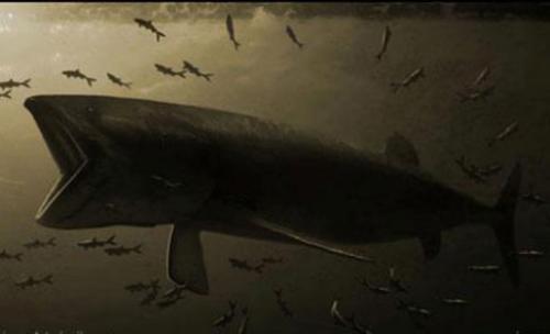 Морской динозавр название. Морские динозавры — Потрясающее зрелище