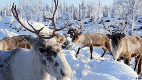 Непереводимые арабские слова. 10 слов, которые нельзя перевести на другие языки
