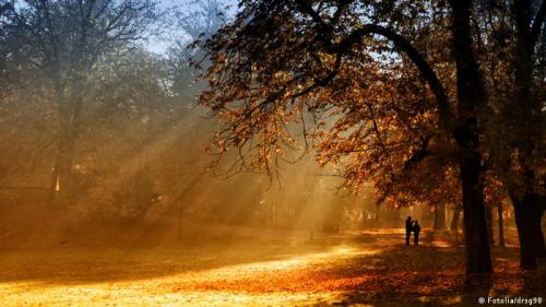 Непереводимые арабские слова. 10 слов, которые нельзя перевести на другие языки