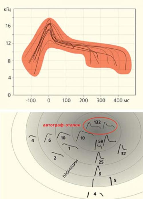 Какие способности у дельфинов, которые заставляют их выделяться среди других морских животных