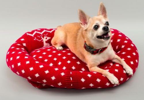 Что подарить собаке на Новый год. Что подарить Собачке на Новый Год: 12 толковых идей