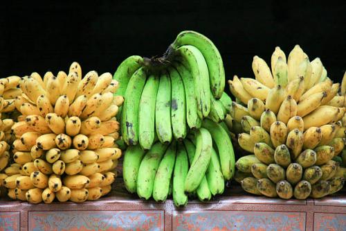 10 малоизвестных фактов о бананах. 10 фактов которые вы не знали о бананах. 02