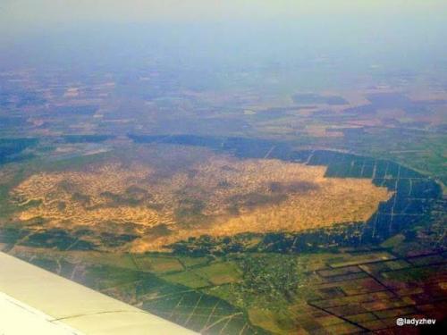 Где находится самый большой рукотворный лес в мире. Самый большой рукотворный лес