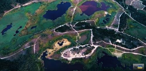 Где находится самый большой рукотворный лес в мире. Самый большой рукотворный лес