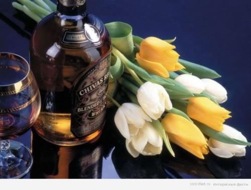 Найди в интернете интересные сведения об этике. Интересные факты об этикете