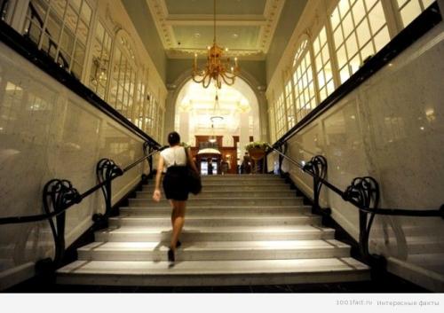 Найди в интернете интересные сведения об этике. Интересные факты об этикете