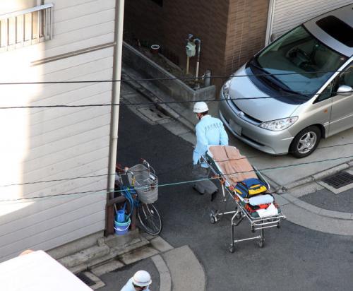 Интересы и факты. 23 факта обо всем на свете, которые сделают из вас настоящего эрудита 19