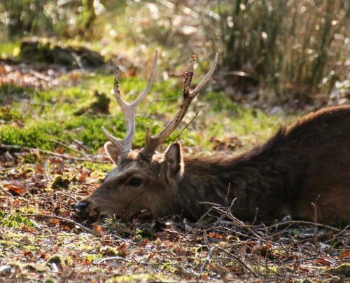 Интересы и факты. 23 факта обо всем на свете, которые сделают из вас настоящего эрудита 26