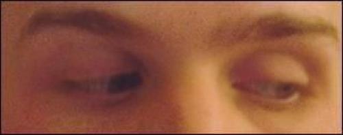 Психологические факты в общении. Интересные факты об общении людей. 13 интересных фактов из психологии общения и определения лжи