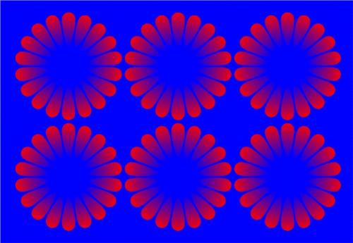 Интересы и факты. 23 факта обо всем на свете, которые сделают из вас настоящего эрудита 32
