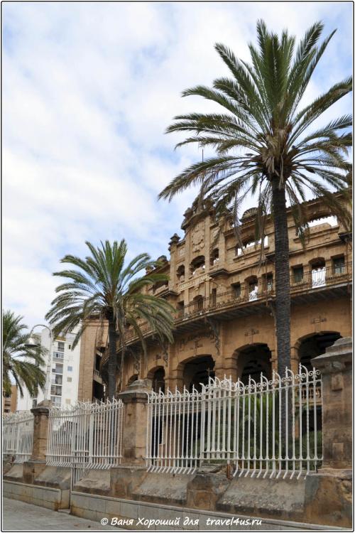 Как коррида была возрождена на Майорке. Путешествия от А до Я