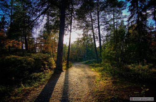 Румыния чем славится. ТОП-20 уникальных достопримечательностей Румынии