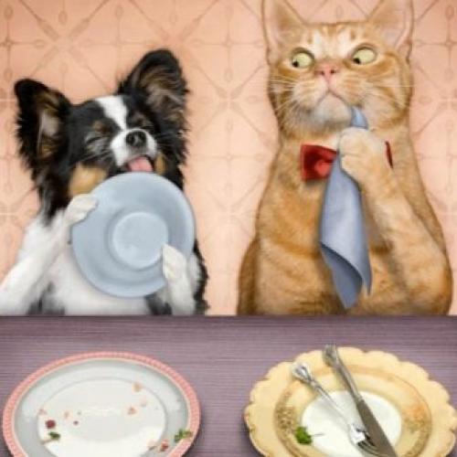 Правила этикета в XIX. Этикет 19 века 03