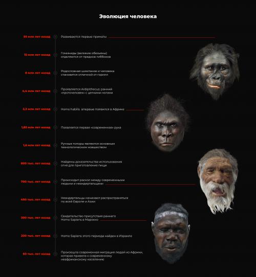 Как рудименты человеческого тела связаны с эволюцией. Что происходит с популяцией, у которой возникли генетические изменения?