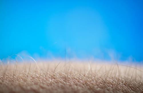 Исследуя рудименты человеческого тела: открытия и знания 02